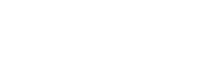 WORDPRESSENTWICKLUNG