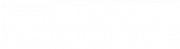 WORDPRESSENTWICKLUNG